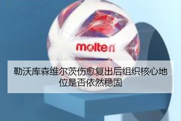 勒沃库森维尔茨伤愈复出后组织核心地位是否依然稳固